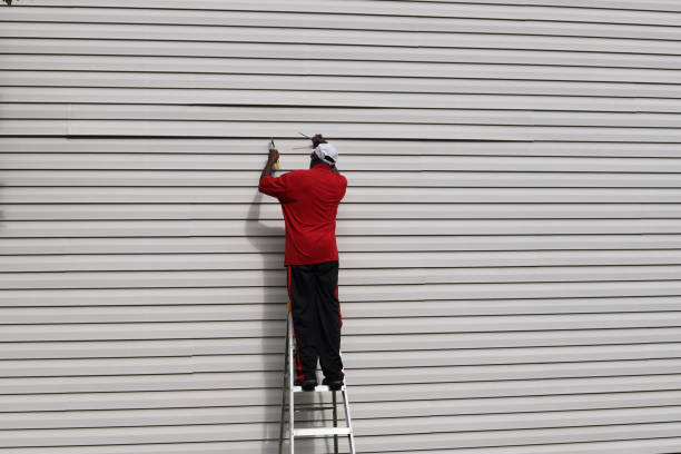 Best Siding for New Construction  in Ruidoso, NM